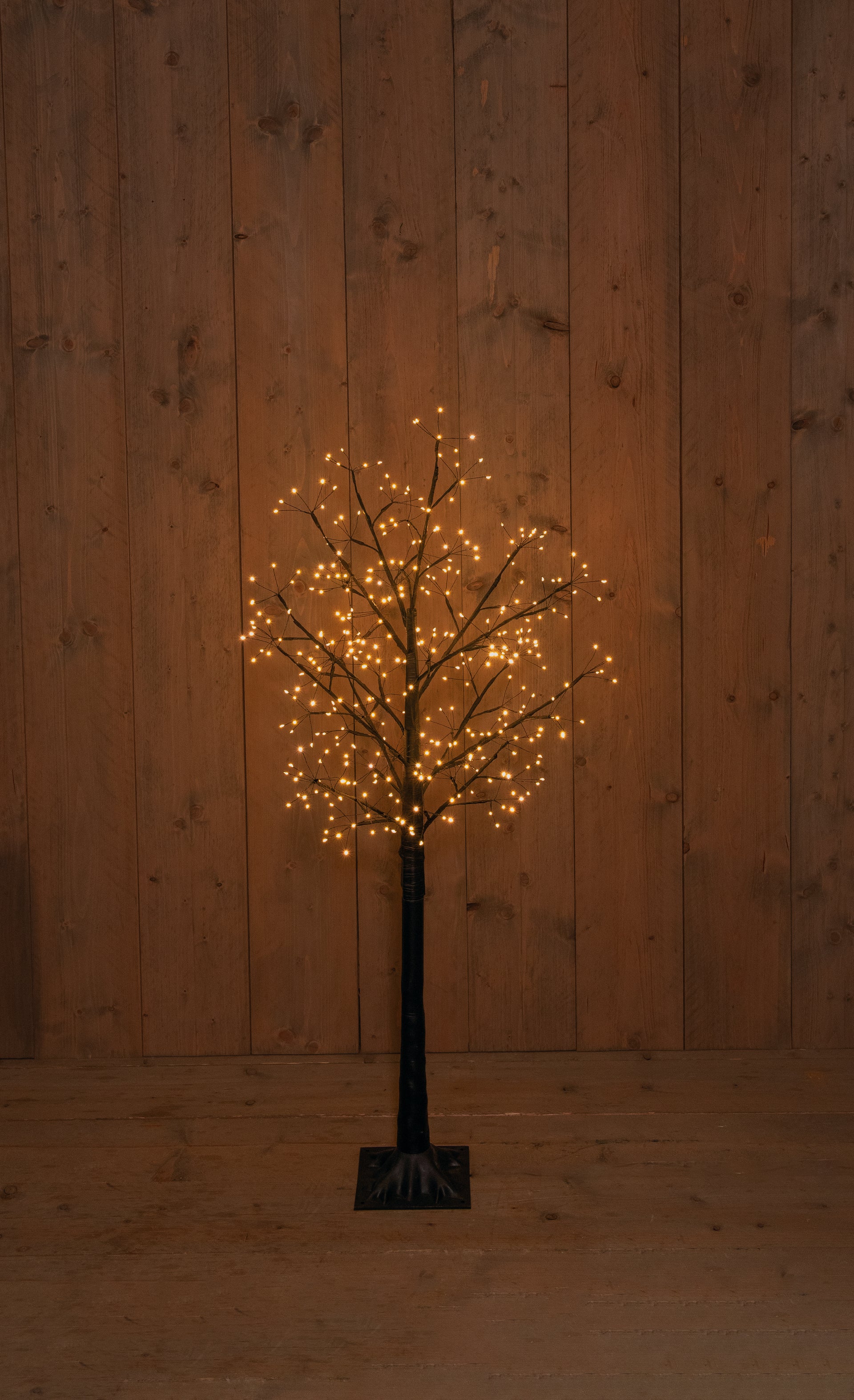 120 cm en chêne noir avec 360 LED