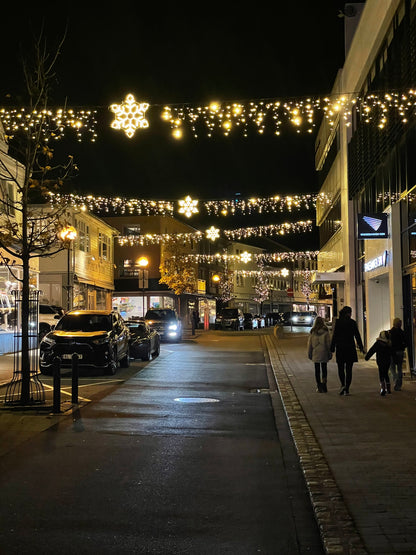 Guirlande lumineuse de 10 mètres. 480 LED blanc chaud